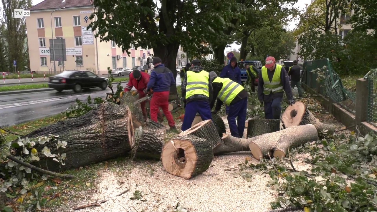 TvZG.pl - Orkan Ksawery w Zielonej Górze