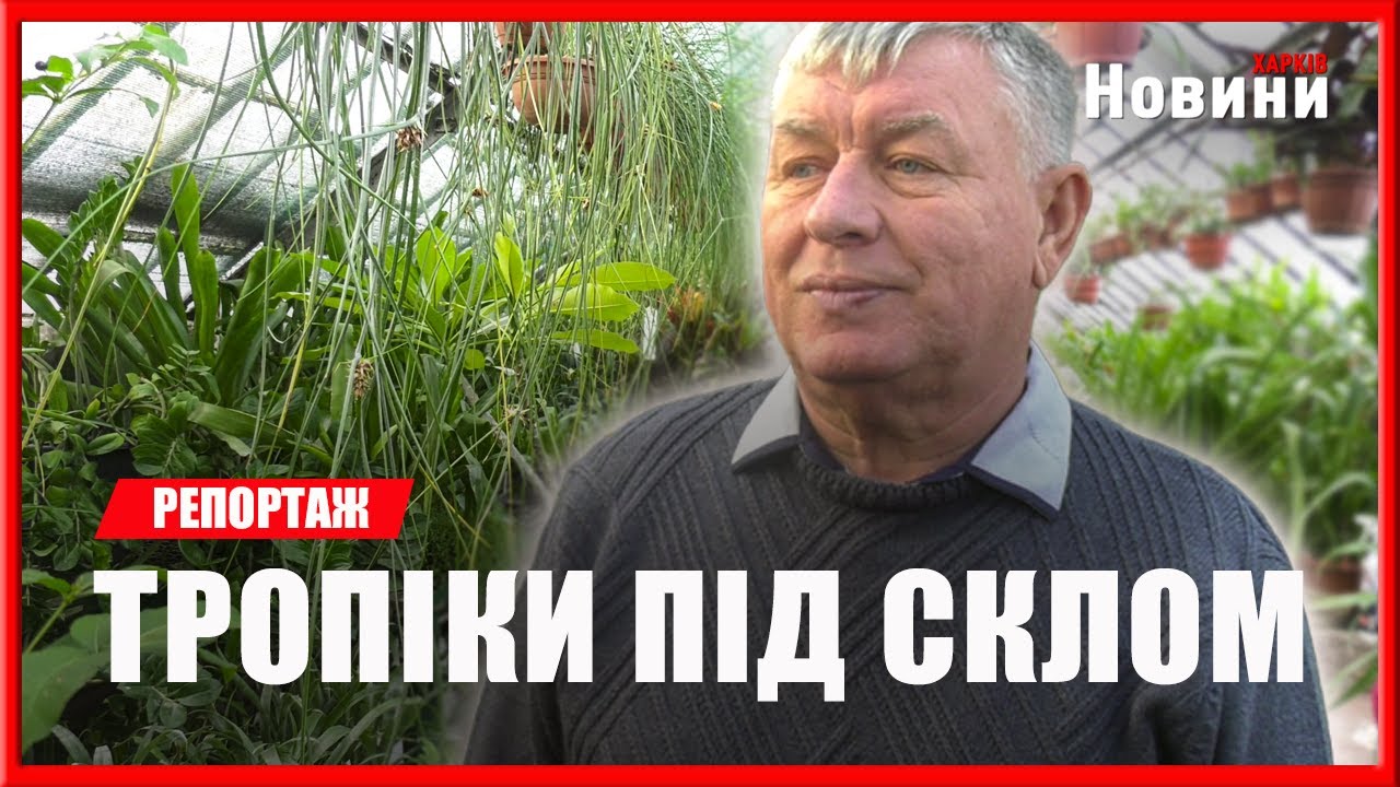 Літо посеред зими: як у харківському ботсаду ростуть тропіки