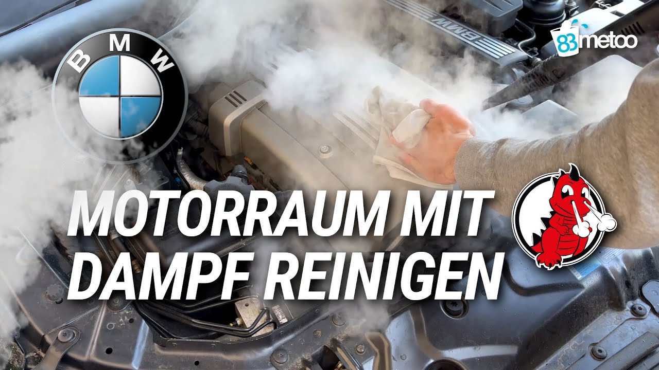 Motorraum reinigen ohne Wasser: Dampfreiniger Dampf Drache 22170