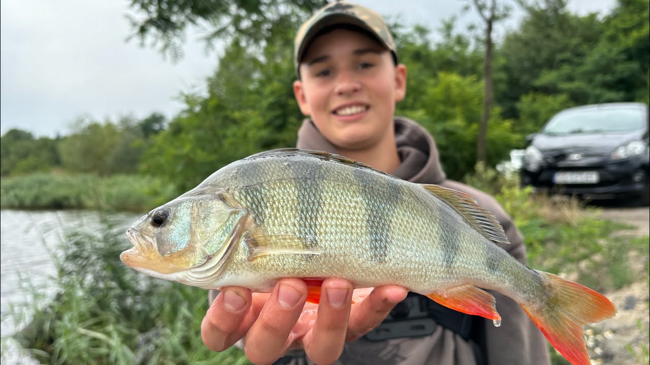 🎣Okonie 35+?! Łowienie na przynęty firmy @Great_fish GF1 w akcji!🤯