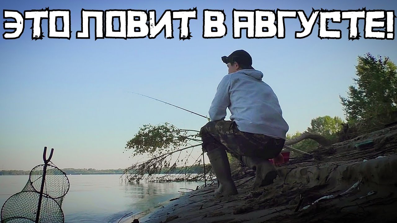 ТАЙНАЯ ДОНКА СРАБОТАЛА! Выдал рецепт СЕКРЕТНОГО пшена и НАЛОВИЛ?! Рыбалка 2024
