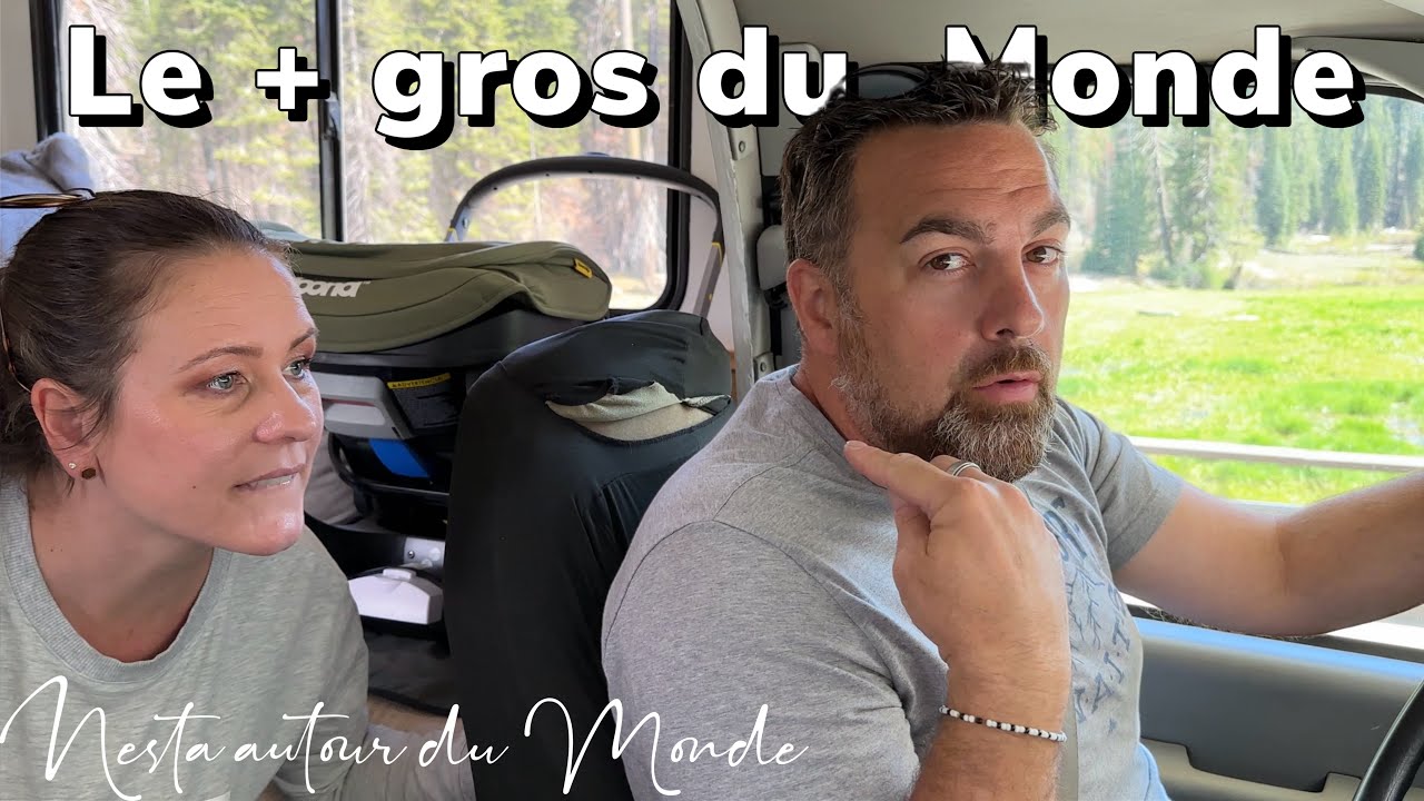 LE PLUS GROS DU MONDE ! Nesta autour du Monde 🌎