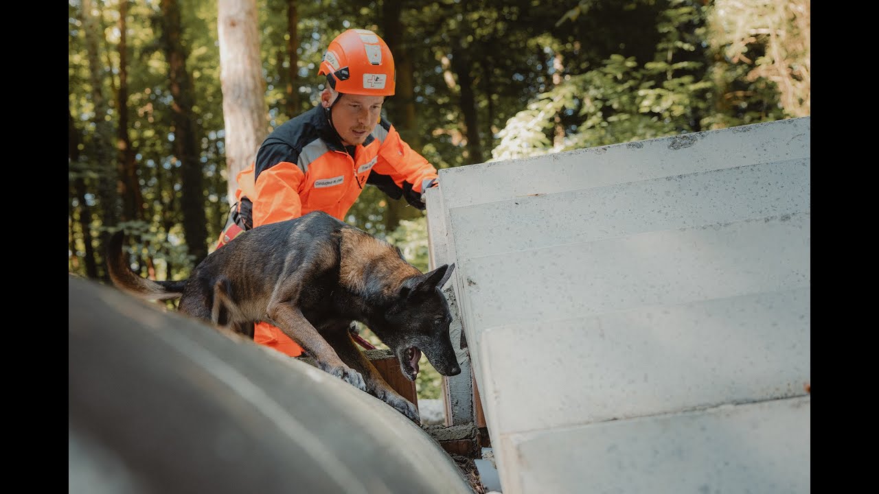 Grâce aux chiens, sauver des vies – soulager des peines