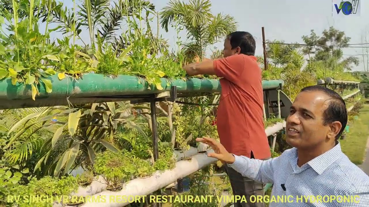 #resort#hydroponicsRV SINGH VIMPA ORGANIC HYDROPONIC 9456696777