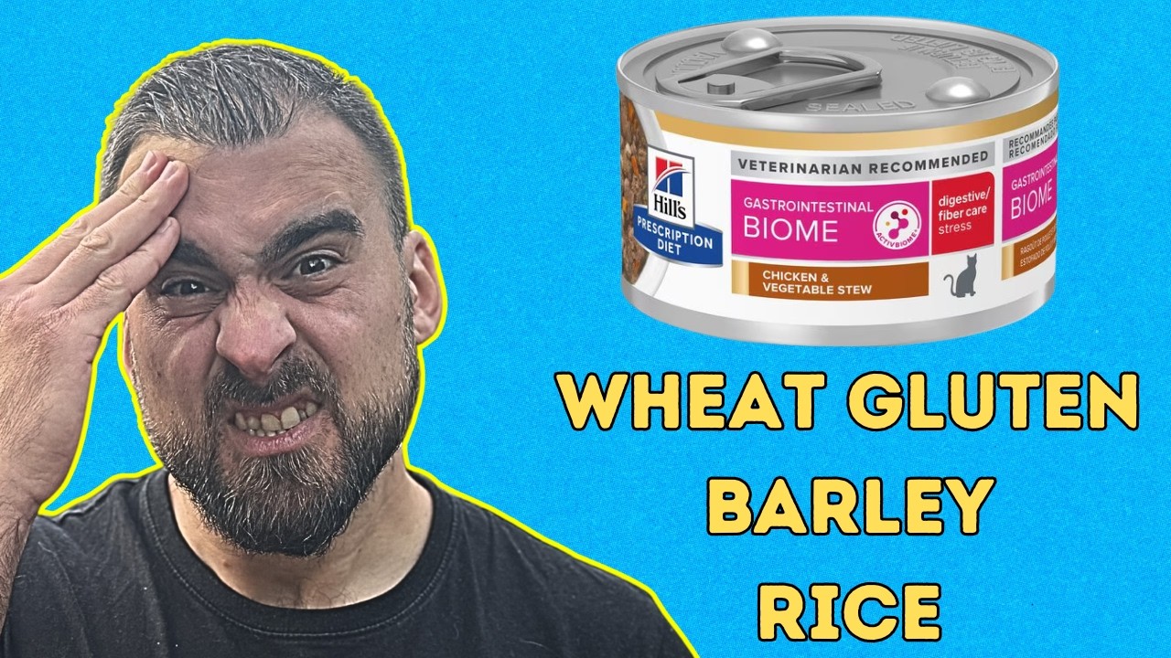 I’m a Cat Nutritionist – Here’s What I’d Never Feed My Cat