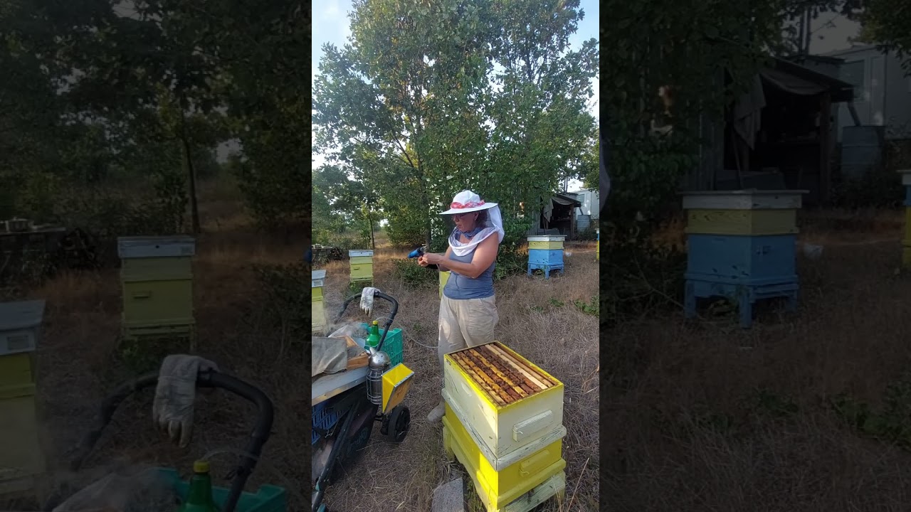 ТРЕТИРАНЕ НА ПЧЕЛНИТЕ СЕМЕЙСТВА С ОКСАЛОВА КИСЕЛИНА