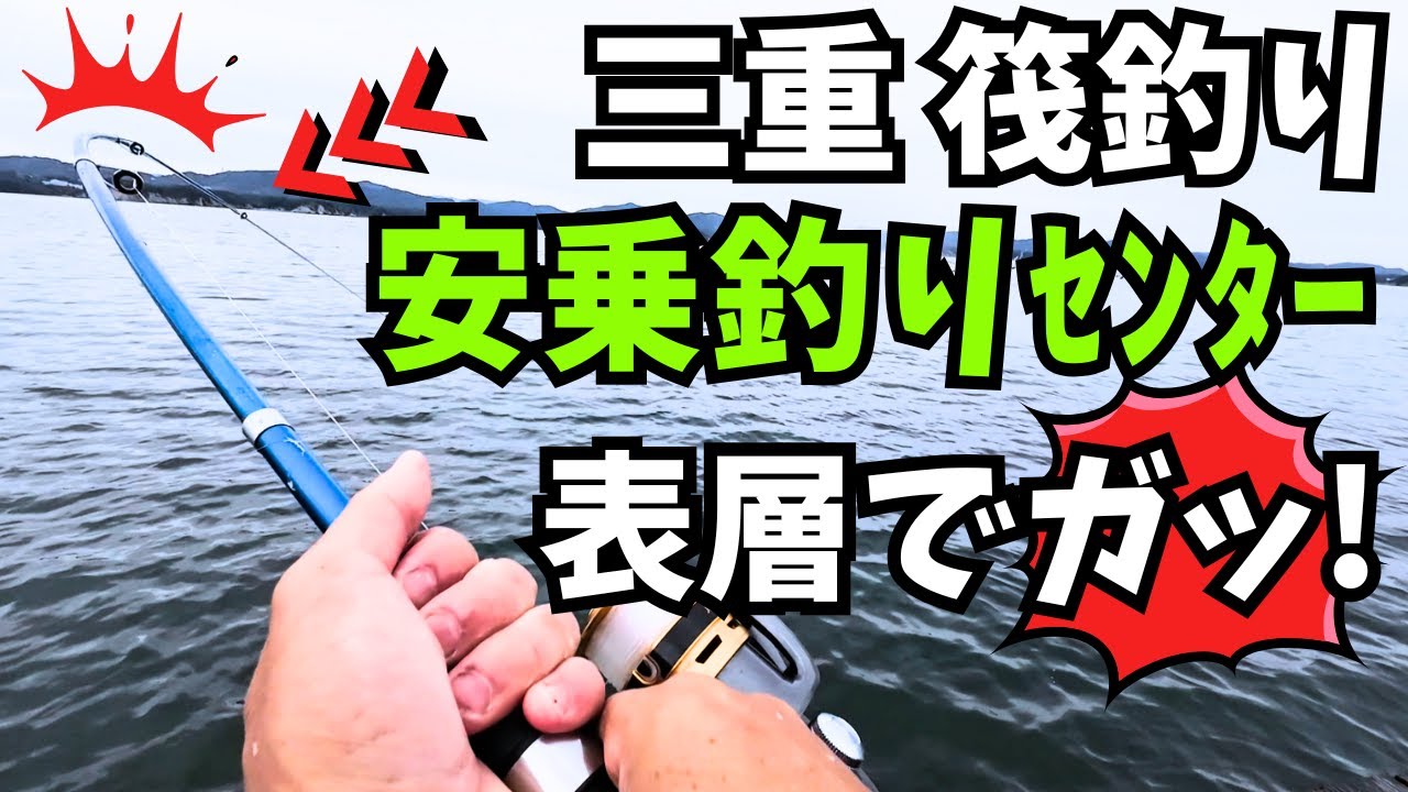 三重筏釣【安乗釣りセンター】初心者におすすめサビキで青物狙える筏でヤツをガッ！てする