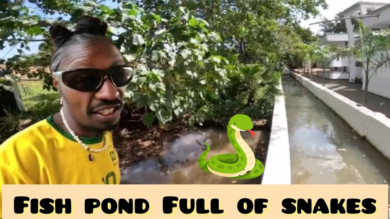 Shocking!!Iam Marwa's Home & Fish Pond invaded By Snakes!!Dee Mwango Defends Marwa On Horses $Travel