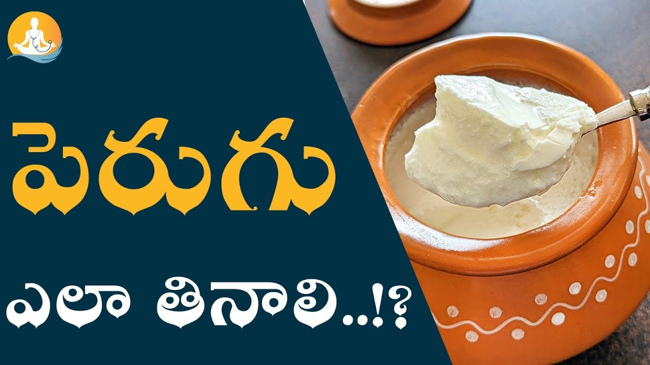 Health Benefits Of Sour Curd|How to Eat Curd| #drcalmssanjeevani #curd #curdrice #buttermilk #health
