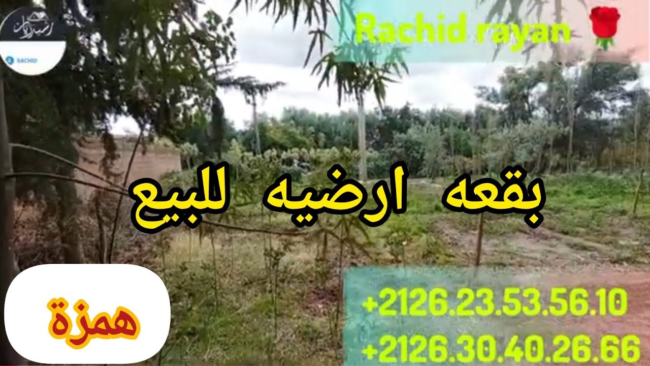 2 بقعات للبيع طريق اوريكة اورق ملكية التمن زوين 300 متر  كل واحده فيها 150 م مرحبا رشيد ريان
