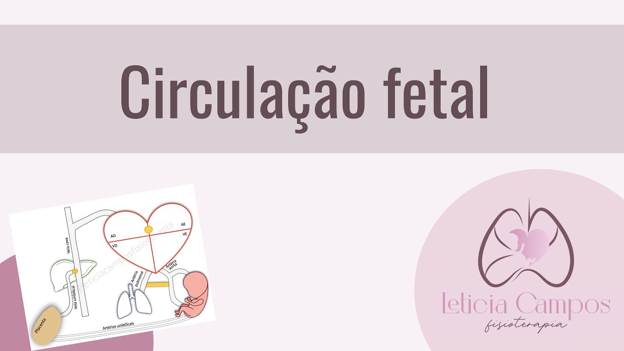 Circulação fetal