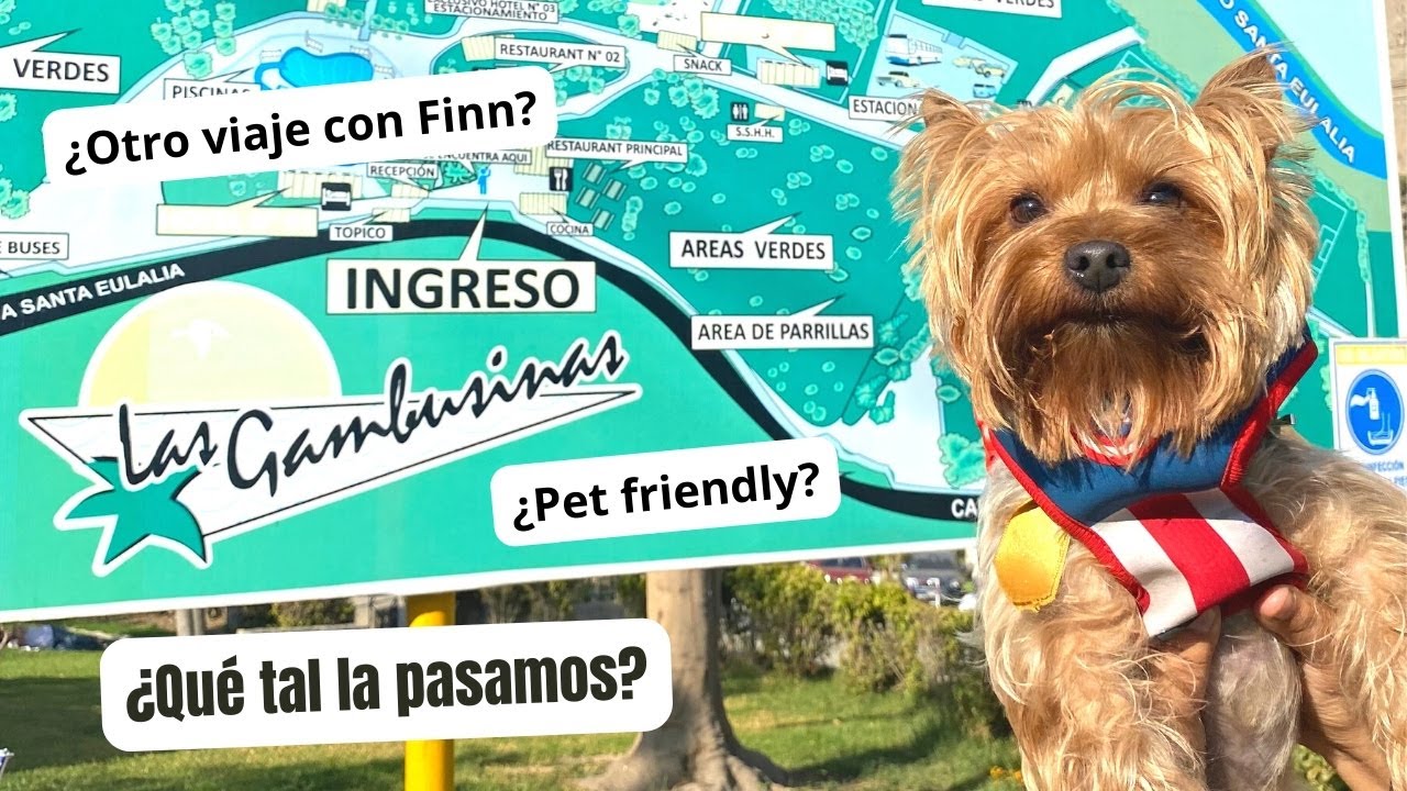Las Gambusinas 2023: Un paseo de verano con Finnito. ¿Qué tal la pasamos?