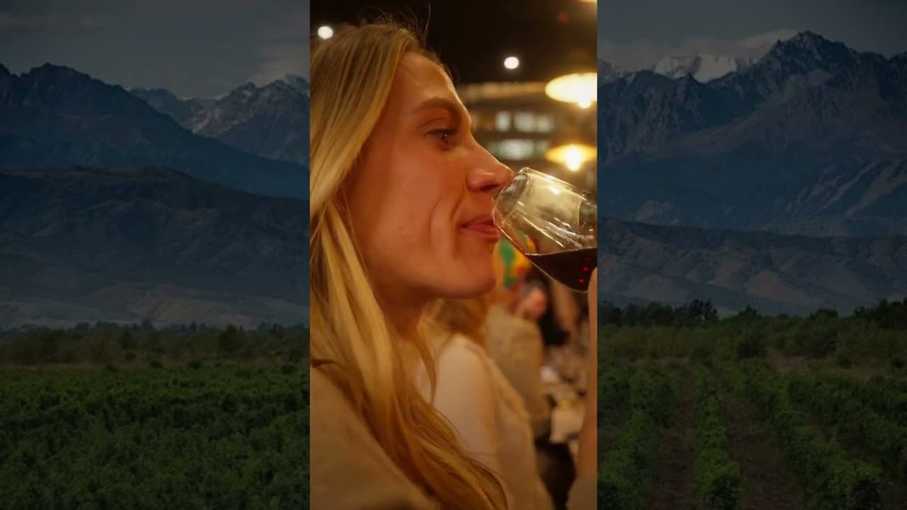 Vinyes Ocults | Hero Producers | Natural Wines | Humble Grape