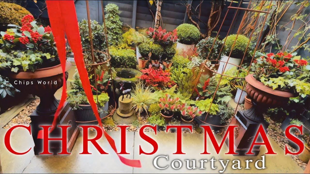 Christmas Courtyard Garden #christmas #winterspecial #christmasdecor 