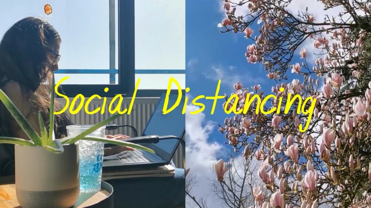 How a day in Social Isolation looks like in Enschede, Netherlands | Old Room Art