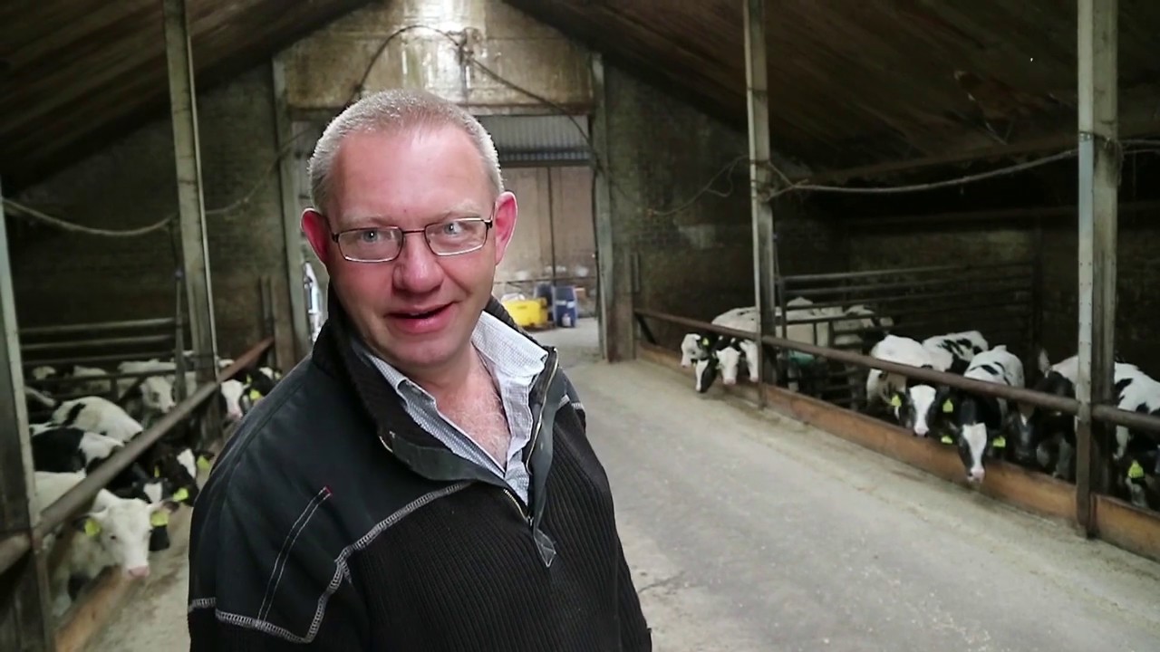 Kalfjes zijn lief, maar ook heel lekker - Bie de Boer (37)
