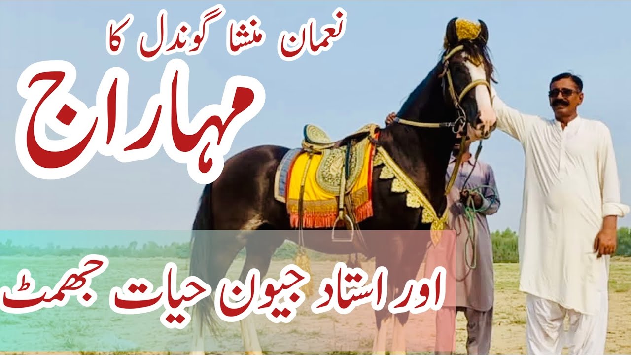 Ghora Nezabazi Per Kese Tayar Ho?  Ustad Jeevan Hayat Jhammat aur Maharaaj