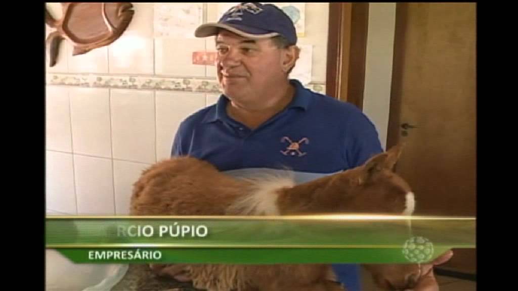 Conhe&ccedil;a o mini p&ocirc;nei criado em casa