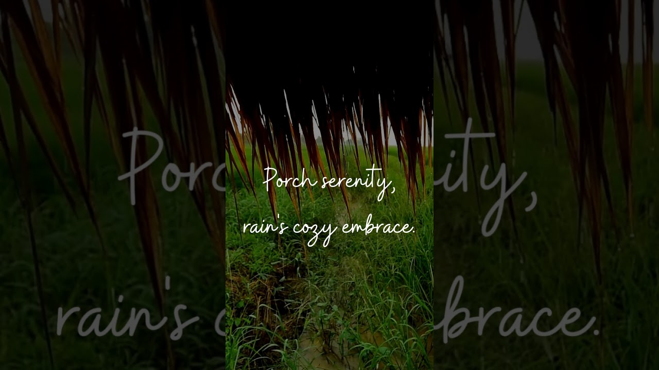 Zen Rain Vibes 🌧️ Mindful Rain Sounds for Relaxation #rainsoundsforsleeping #rainsounds #relax