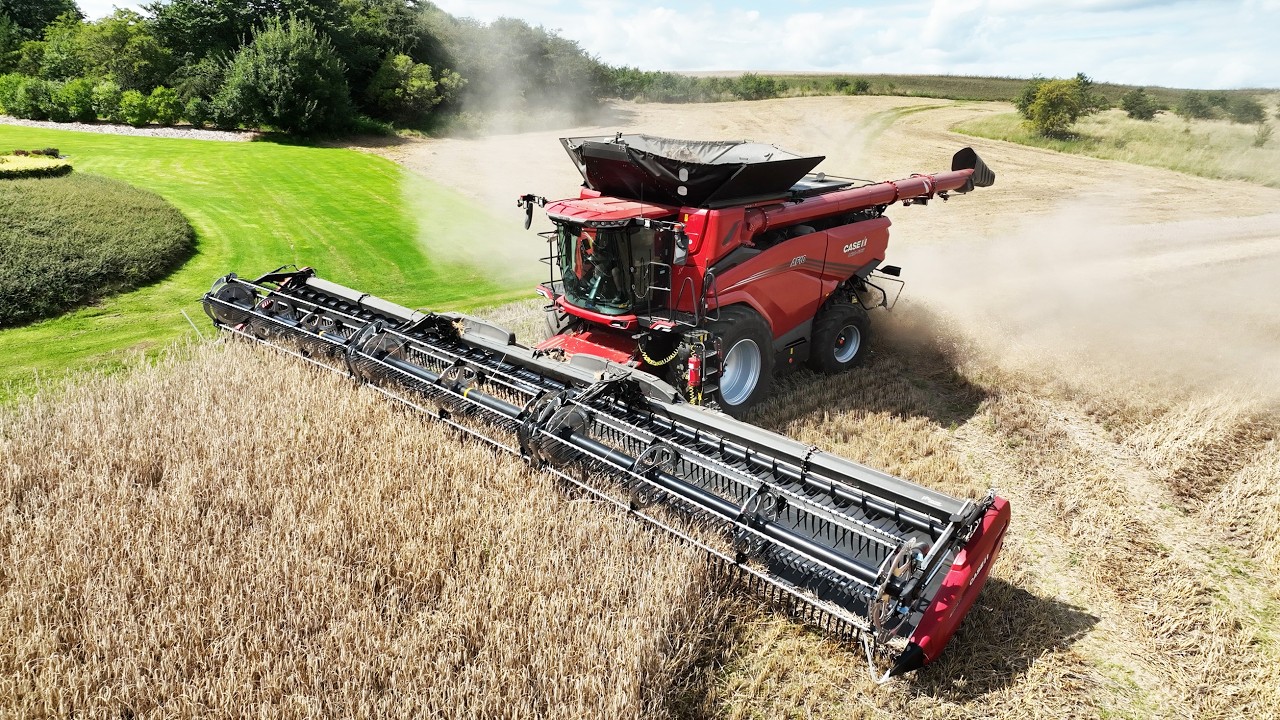 CASE IH AF10 & 50 FT. MacDon FD250 Header Harvesting | Big Farming