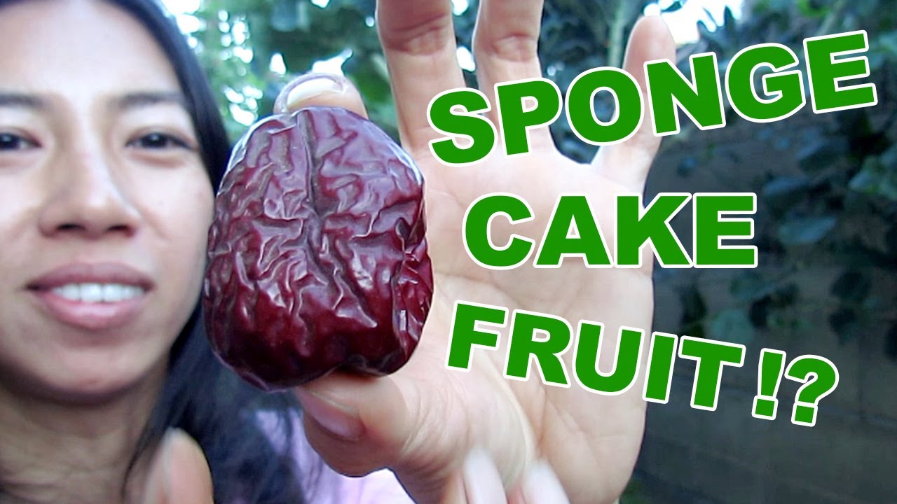 How To Pick Best Jujubes