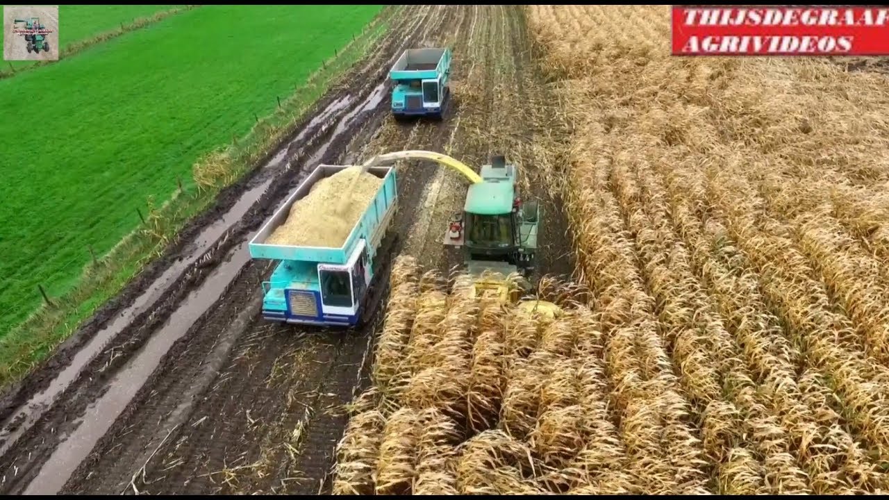 Maishakselen 2017 Modderen/ In mud! | John Deere 6750 Harvestering mais | Rupsdumpers | Hierden