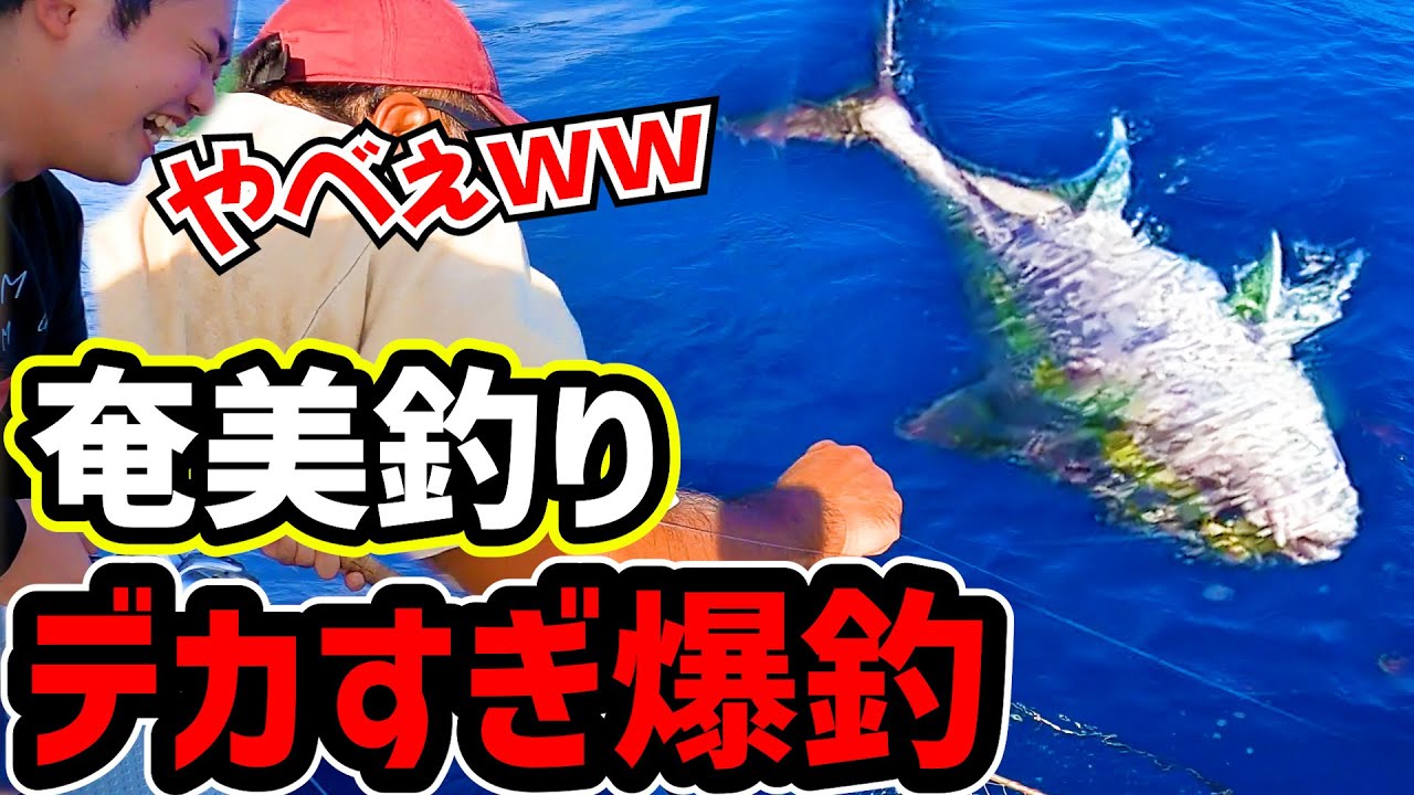 【奄美釣り】奄美の高級魚や