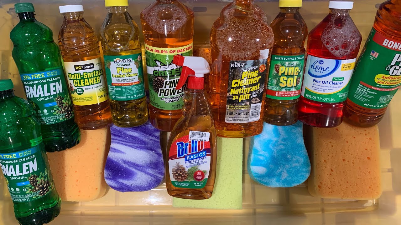 Asmr Big pine bucket!!!🌲🌲🌲🌲made my sponges super soft!