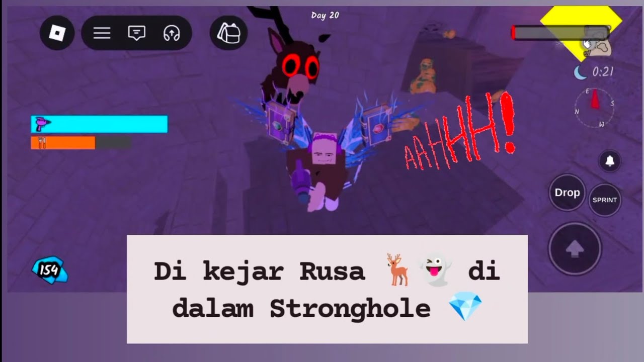 99 nights in the forest