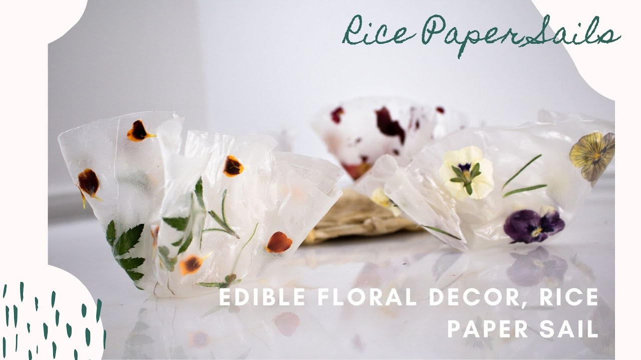 Prettiest Translucent Rice Paper Sails, Edible Florals, Rice Paper Tutorial, Cake Topper idea