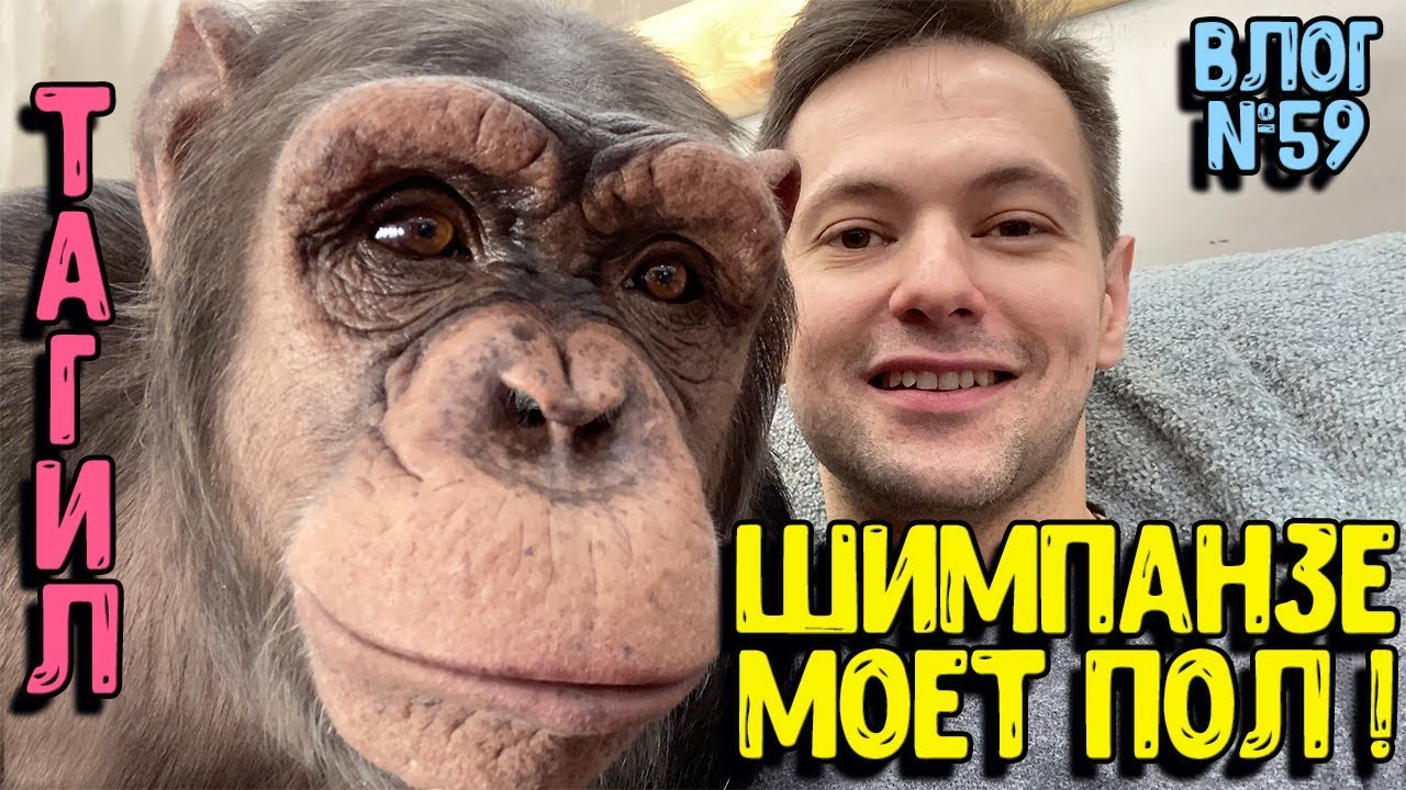 Как мы готовились к премьере в Тагиле / Мальта моет полы / Фрагменты репетиции