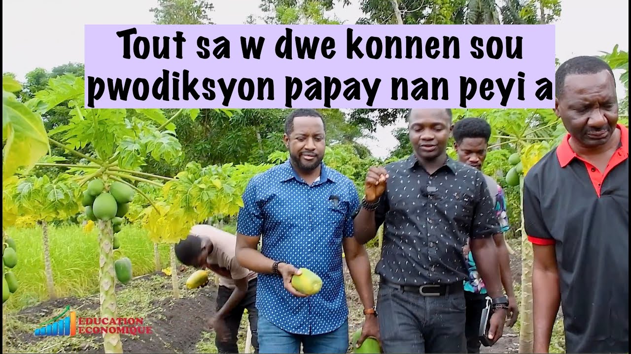 Tout sa w dwe konnen sou pwodiksyon papay