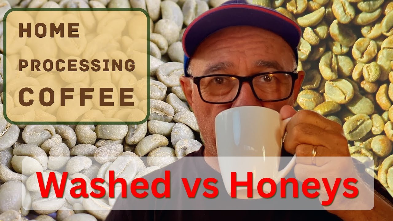 Process Coffee Beans At Home (Seed to Cup Series)