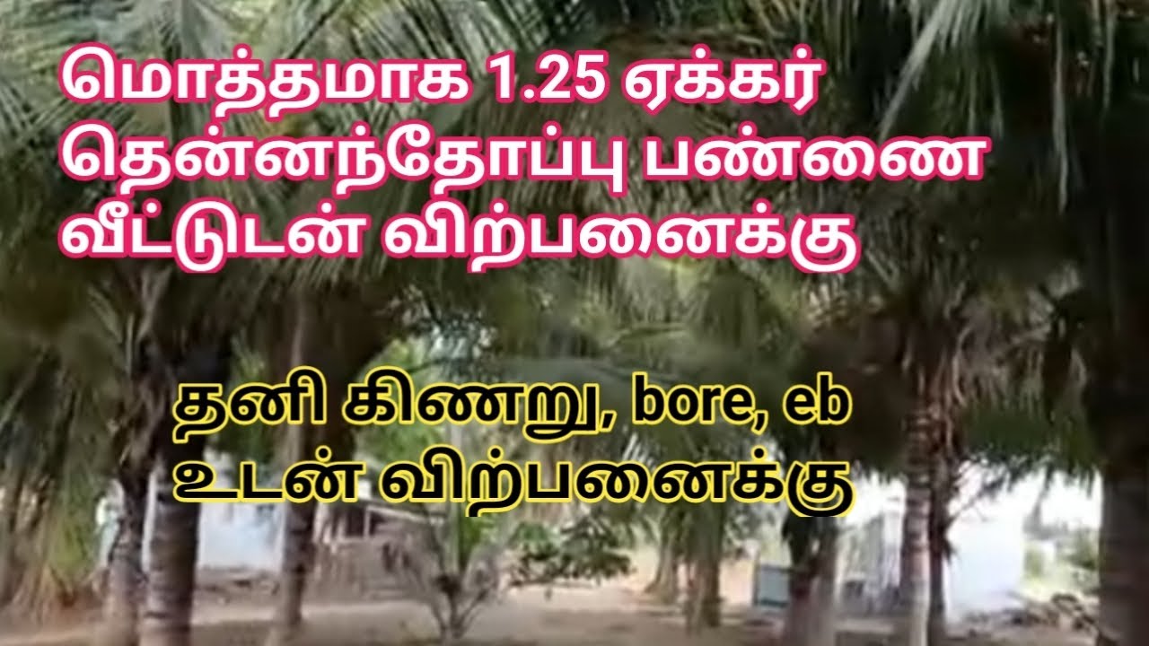 மொத்தமாக 1.25 ஏக்கர் தென்னந்தோப்பு பண்ணை வீட்டுடன் விற்பனைக்கு | Coconut Farm for Sale | GK Housing
