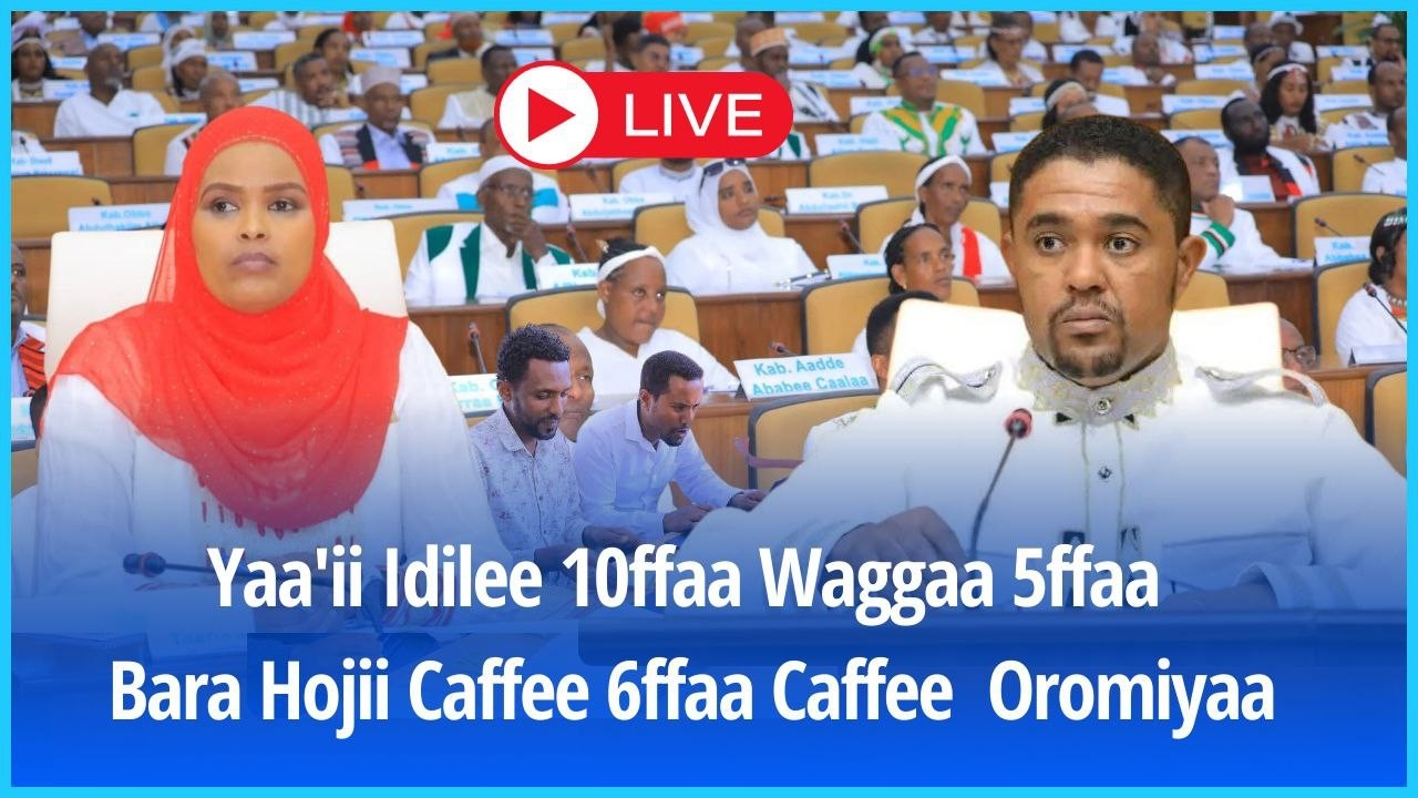 Yaa'ii Idilee 10ffaa Waggaa 5ffaa Bara Hojii Caffee 6ffaa Caffee  Oromiyaa