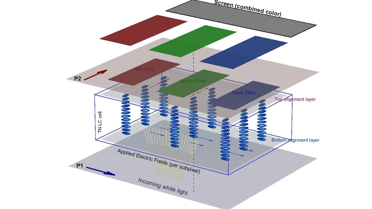 How a Single LCD (Liquid Crystal Display) Pixel Works: Twisted Nematic & RGB Subpixels Visualization