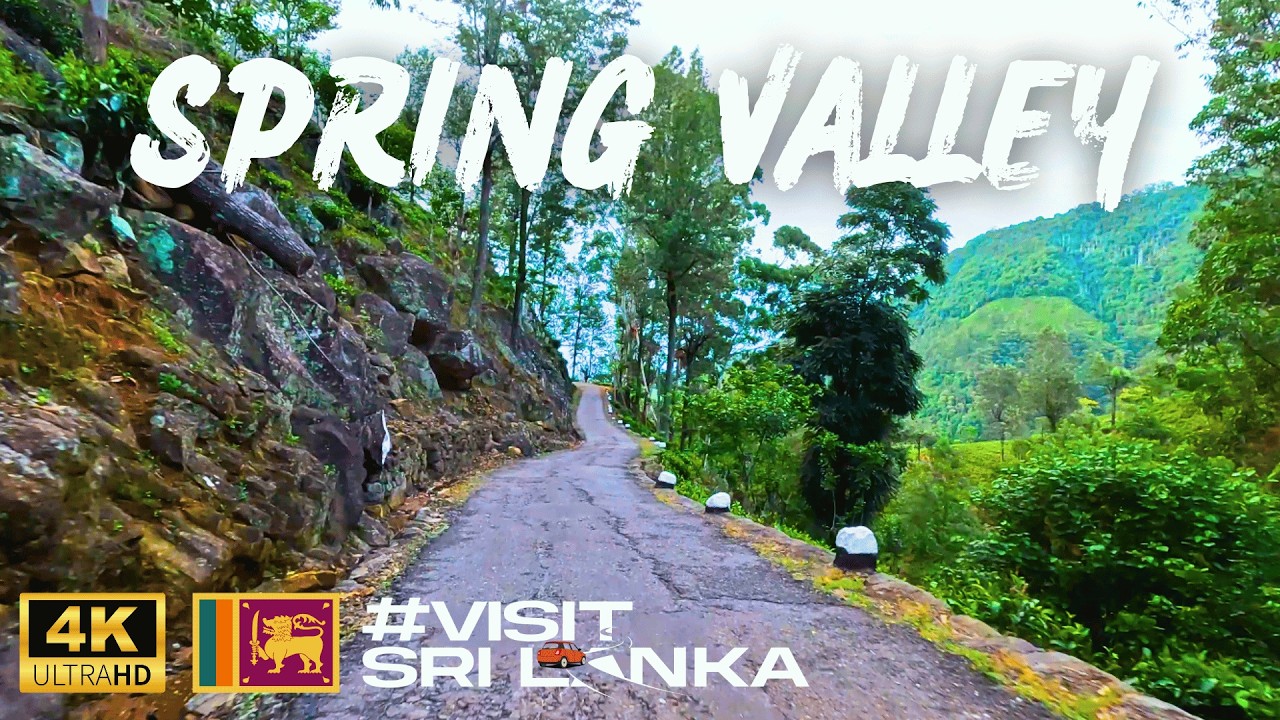 Driving Around in Spring Valley, Badulla | බදුල්ල ස්ප්‍රිං වැලි වටේ රවුමක්