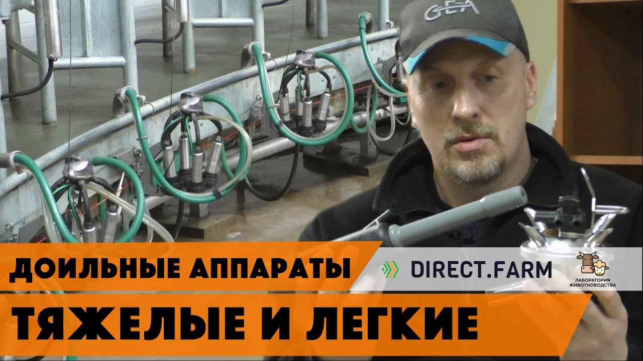 Подбор доильного аппарата. Доение коров