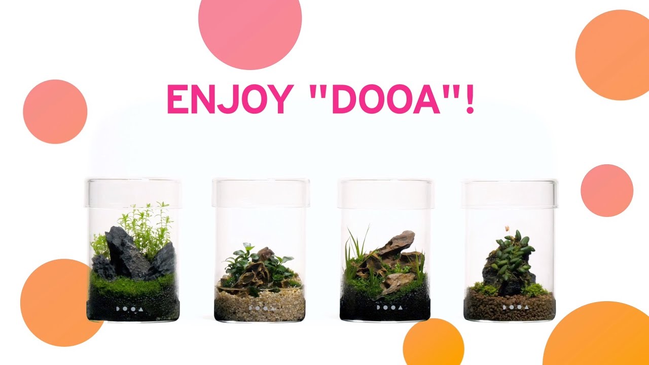 [ADAview] DOOA GLASS POT MARU Collection