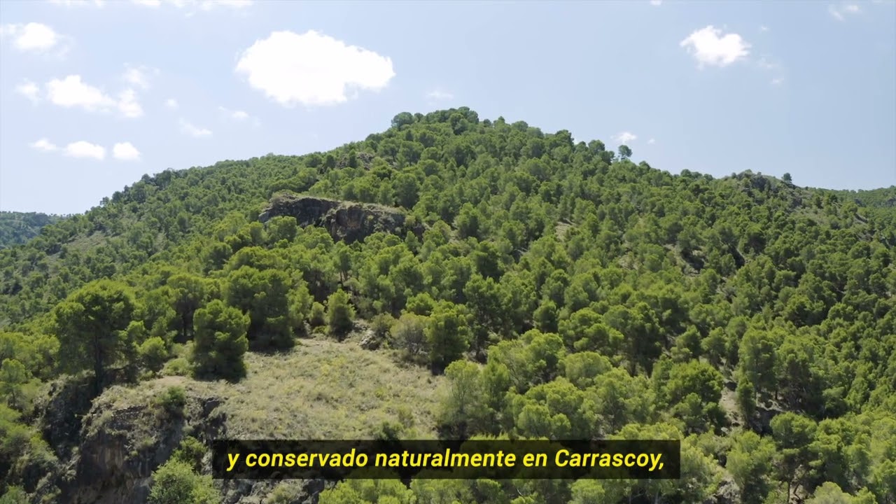 MiMurcia | Carrascoy y El Valle