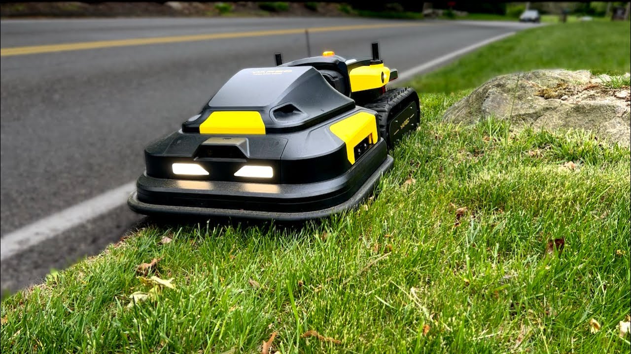 I Will NEVER Have to Mow My Lawn Again!