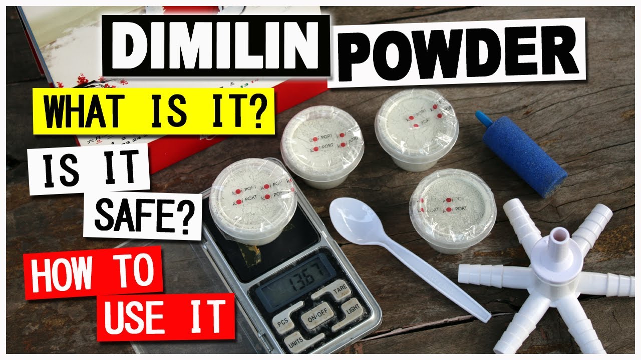 Dimilin for Anchor Worm Fish Lice