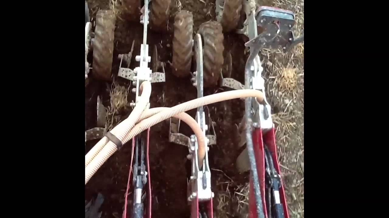 Sumo Strip Seeder