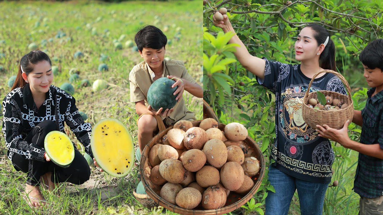 Sros Yummy Cooking Vlogs: Yummy Juice Yellow water melon, Sapodilla collecting and cook in season