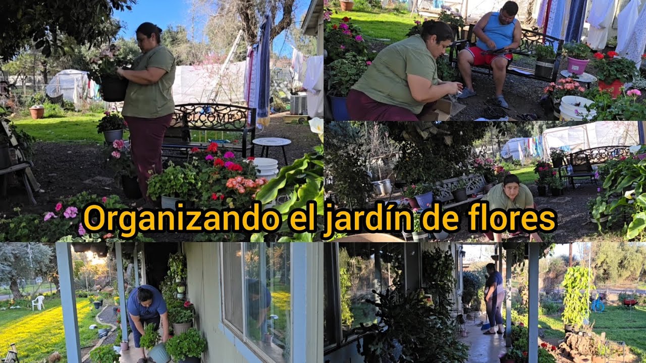Organizando el jardín de flores 💐 