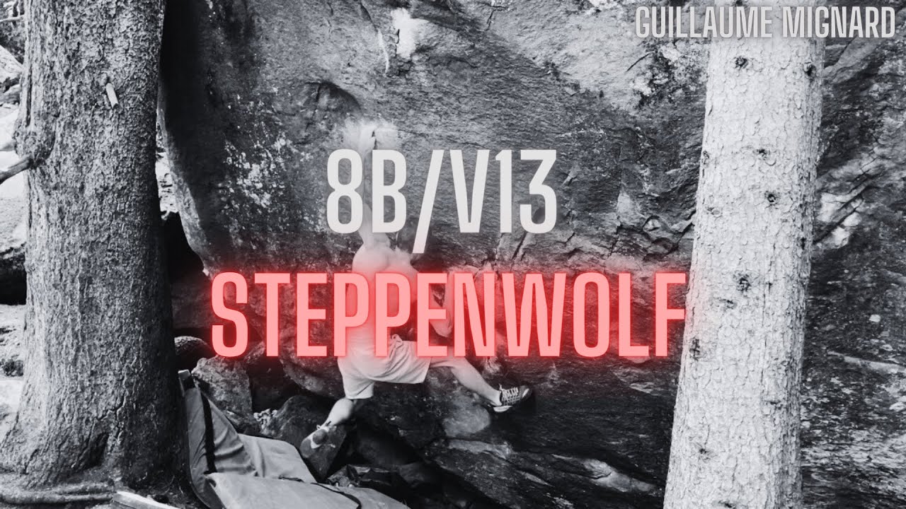 STEPPENWOLF 8B // Guillaume Mignard