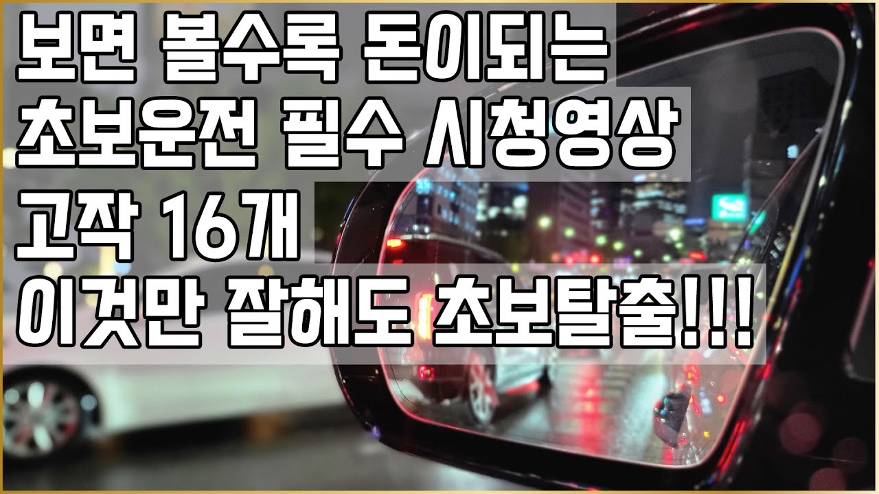[초보운전 필수 시청] 🚗 이것만 잘해도 초보탈출 /초보운전 필수영상 나혼자탄다