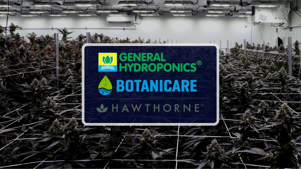 Optimizing Your Cannabis Growth with FloraPro, CocoPro, and ProGrow MP4 Mix by GH and Botanicare