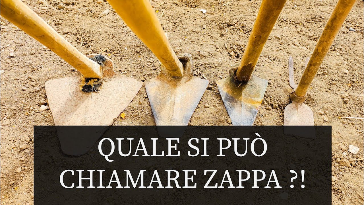 Zappa: ATTENZIONE nuoce gravemente alla salute
