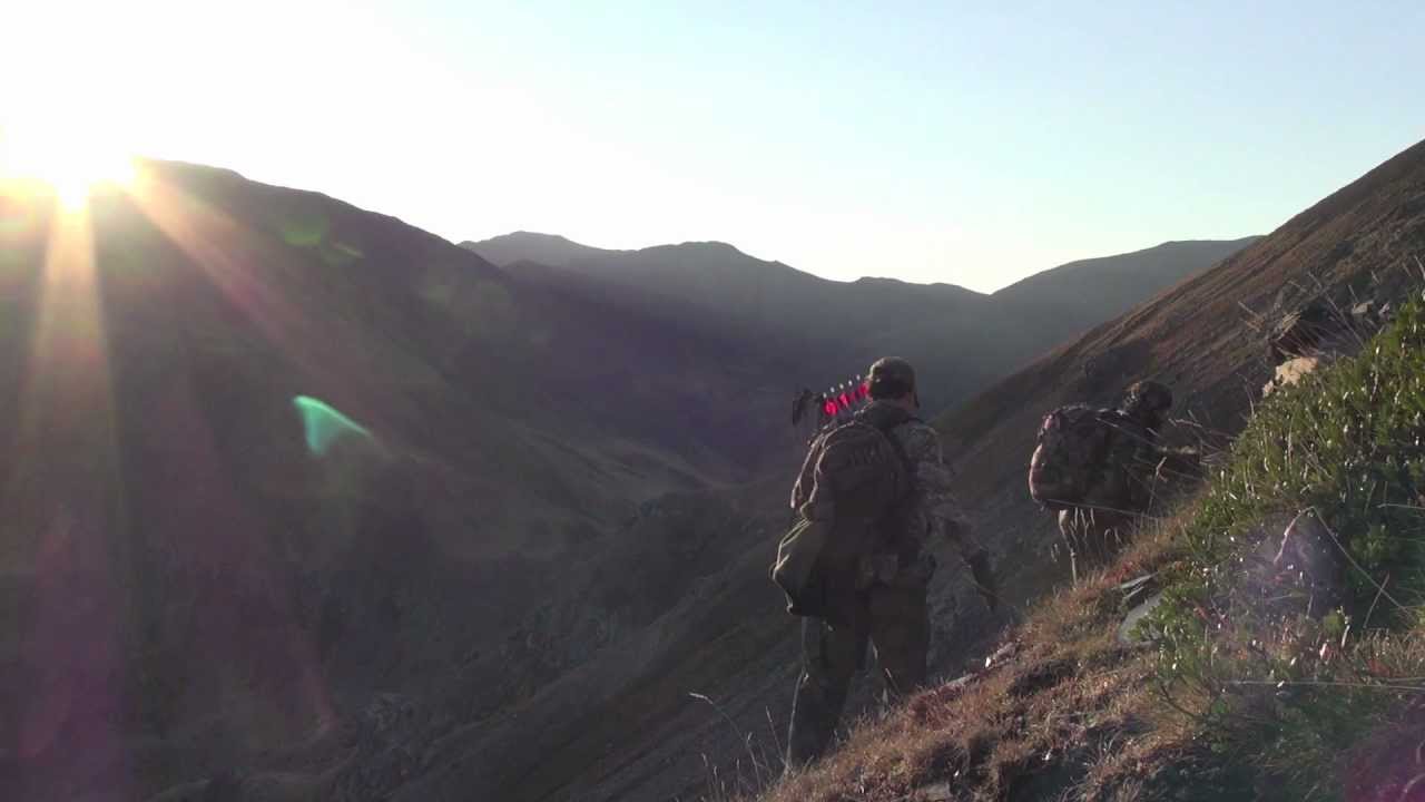 RECECHO CON ARCO. REBECOS. CHAMOIS BOWHUNTING.